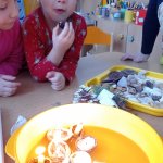phoca_thumb_m_001 27 Fotogalerie